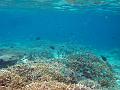 MaLaYsIa_-_PaLaU_SiPaDaN_-_PaLaU_MaBuL_173