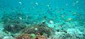 MaLaYsIa_-_PaLaU_SiPaDaN_-_PaLaU_MaBuL_177