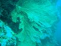 MaLaYsIa_-_PaLaU_SiPaDaN_-_PaLaU_MaBuL_181