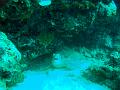 MaLaYsIa_-_PaLaU_SiPaDaN_-_PaLaU_MaBuL_189