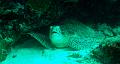 MaLaYsIa_-_PaLaU_SiPaDaN_-_PaLaU_MaBuL_190