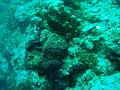 MaLaYsIa_-_PaLaU_SiPaDaN_-_PaLaU_MaBuL_195