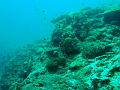 MaLaYsIa_-_PaLaU_SiPaDaN_-_PaLaU_MaBuL_197