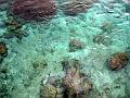 MaLaYsIa_-_PaLaU_SiPaDaN_-_PaLaU_MaBuL_25