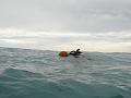 MaLaYsIa_-_PaLaU_SiPaDaN_-_PaLaU_MaBuL_258