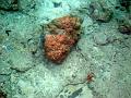 MaLaYsIa_-_PaLaU_SiPaDaN_-_PaLaU_MaBuL_28