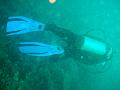 MaLaYsIa_-_PaLaU_SiPaDaN_-_PaLaU_MaBuL_295