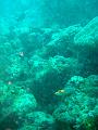 MaLaYsIa_-_PaLaU_SiPaDaN_-_PaLaU_MaBuL_299