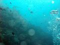 MaLaYsIa_-_PaLaU_SiPaDaN_-_PaLaU_MaBuL_30