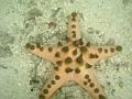 MaLaYsIa_-_PaLaU_SiPaDaN_-_PaLaU_MaBuL_320