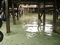 MaLaYsIa_-_PaLaU_SiPaDaN_-_PaLaU_MaBuL_321