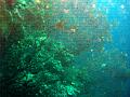 MaLaYsIa_-_PaLaU_SiPaDaN_-_PaLaU_MaBuL_37