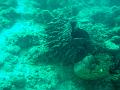 MaLaYsIa_-_PaLaU_SiPaDaN_-_PaLaU_MaBuL_374