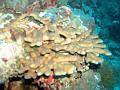 MaLaYsIa_-_PaLaU_SiPaDaN_-_PaLaU_MaBuL_39