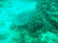 MaLaYsIa_-_PaLaU_SiPaDaN_-_PaLaU_MaBuL_439