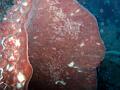 MaLaYsIa_-_PaLaU_SiPaDaN_-_PaLaU_MaBuL_44
