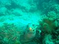 MaLaYsIa_-_PaLaU_SiPaDaN_-_PaLaU_MaBuL_442