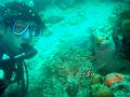 MaLaYsIa_-_PaLaU_SiPaDaN_-_PaLaU_MaBuL_443