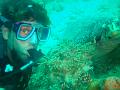 MaLaYsIa_-_PaLaU_SiPaDaN_-_PaLaU_MaBuL_444