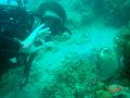 MaLaYsIa_-_PaLaU_SiPaDaN_-_PaLaU_MaBuL_445