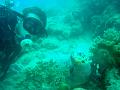 MaLaYsIa_-_PaLaU_SiPaDaN_-_PaLaU_MaBuL_446