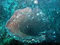 MaLaYsIa_-_PaLaU_SiPaDaN_-_PaLaU_MaBuL_45