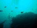 MaLaYsIa_-_PaLaU_SiPaDaN_-_PaLaU_MaBuL_49