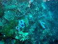 MaLaYsIa_-_PaLaU_SiPaDaN_-_PaLaU_MaBuL_51