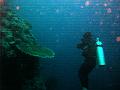MaLaYsIa_-_PaLaU_SiPaDaN_-_PaLaU_MaBuL_55