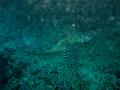 MaLaYsIa_-_PaLaU_SiPaDaN_-_PaLaU_MaBuL_62