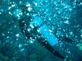 MaLaYsIa_-_PaLaU_SiPaDaN_-_PaLaU_MaBuL_67