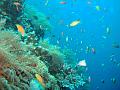 MaLaYsIa_-_PaLaU_SiPaDaN_-_PaLaU_MaBuL_68