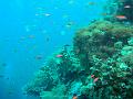 MaLaYsIa_-_PaLaU_SiPaDaN_-_PaLaU_MaBuL_71