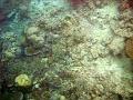 MaLaYsIa_-_PaLaU_SiPaDaN_-_PaLaU_MaBuL_77