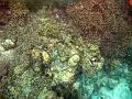 MaLaYsIa_-_PaLaU_SiPaDaN_-_PaLaU_MaBuL_79