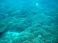 MaLaYsIa_-_PaLaU_SiPaDaN_-_PaLaU_MaBuL_81