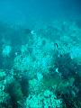 MaLaYsIa_-_PaLaU_SiPaDaN_-_PaLaU_MaBuL_96