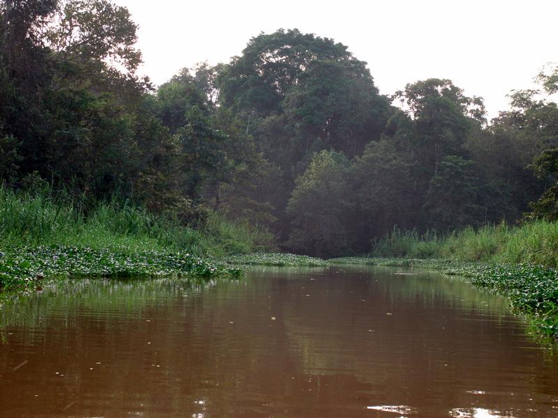 MaLaYsIa_-_SuKaU_(SuNgAi_KiNaBaTaNgAn)_113.JPG