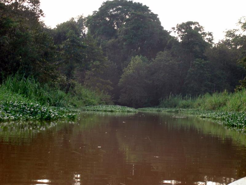MaLaYsIa_-_SuKaU_(SuNgAi_KiNaBaTaNgAn)_114.JPG