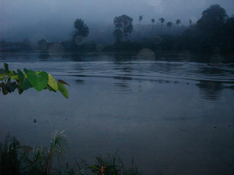 MaLaYsIa_-_SuKaU_(SuNgAi_KiNaBaTaNgAn)_213.JPG