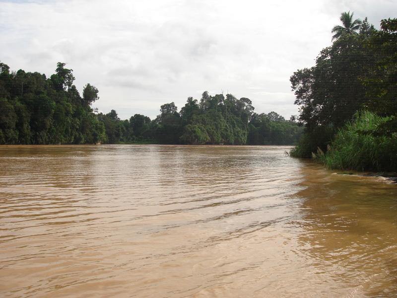 MaLaYsIa_-_SuKaU_(SuNgAi_KiNaBaTaNgAn)_84.JPG