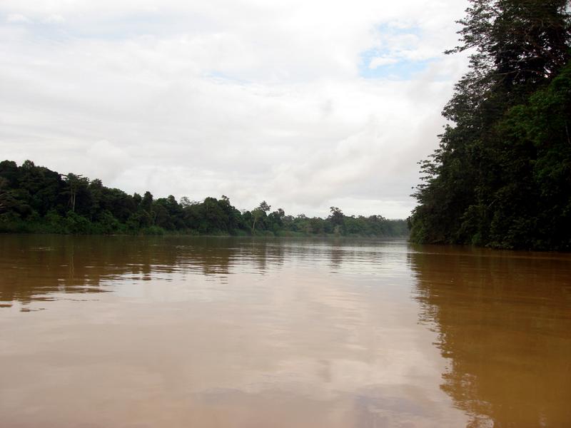 MaLaYsIa_-_SuKaU_(SuNgAi_KiNaBaTaNgAn)_97.JPG