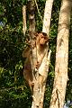 MaLaYsIa_-_SuKaU_(SuNgAi_KiNaBaTaNgAn)_140