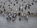 ArGeNtInA_-_UsHuAiA_-_TiErRa_DeL_FuEgO_103