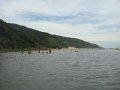 DSC09384