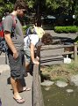 DSC04044