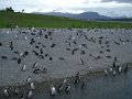 DSC04191