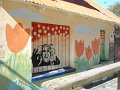 DSC04564