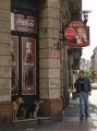 DSC04688