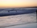 DSC04754